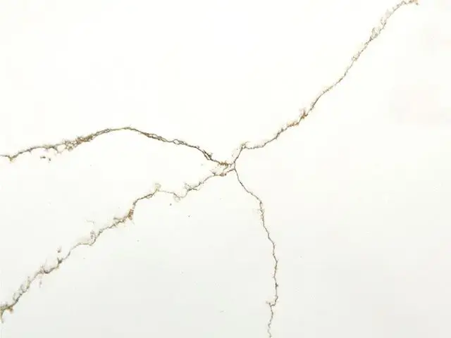 Calacatta Sienna Gold Quartz Countertop